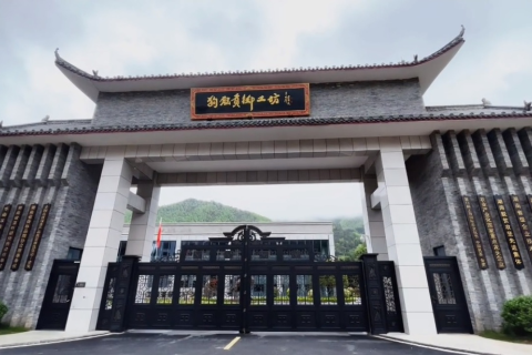 湖南资兴东江湖狗脑汞茶业有限公司